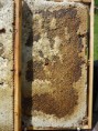 /album/fotogalerie/p1050808-jpg/